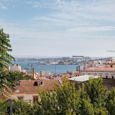 Imprensa Nacional Cozy And Comfort